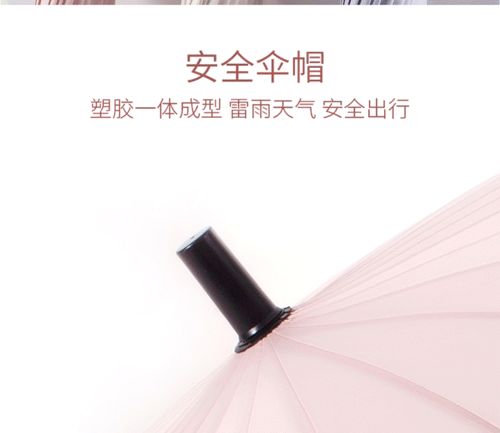 长柄雨伞女大号24骨双人ins复古黑色古风直柄伞男士个性创意森系