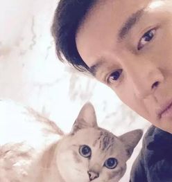 易烊千玺喜提第十只猫都说吸猫会上瘾,这些明星才是养猫大户