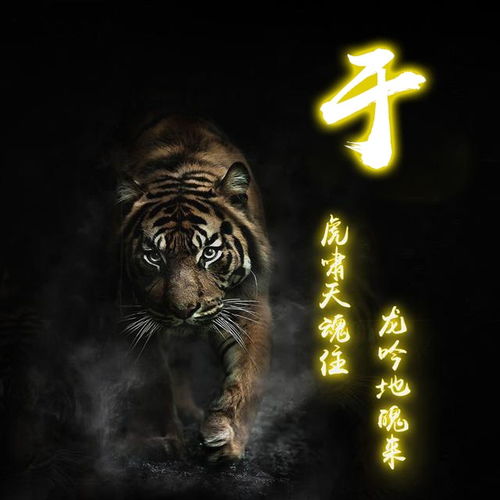 你该换个微信头像了,超好看的姓氏签名头像,快来带走换上吧
