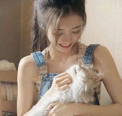 头像集愿你成为自己的太阳,无需凭借谁的光芒