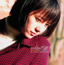 高圆圆走红成长史17岁出道清纯女孩变熟女组图