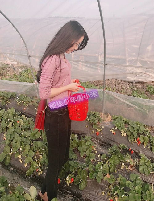 女子摘草莓被吃称10斤,找商家理论反被怼默认的潜规则