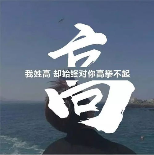 微信头像还没换吗来看看最流行的姓氏头像吧