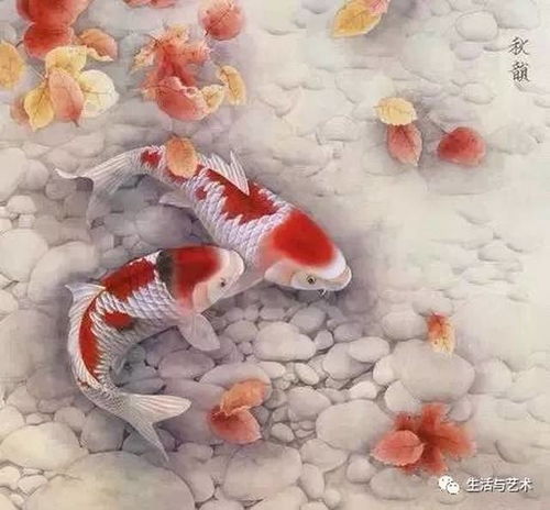 一组好运鱼,吉祥好运