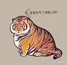 全球老虎日,如何看待我国现存27只野生东北虎,猎套成致命陷阱