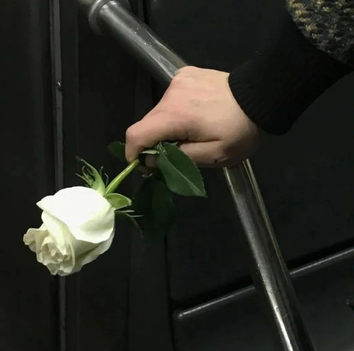 手拿花女生头像