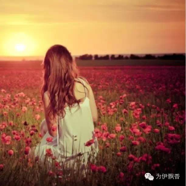 为何手机摄影广受大众青睐原因竟如此简单