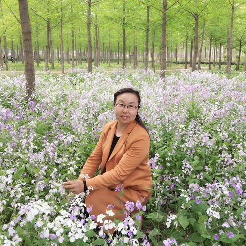 喜迎河北妇女十四大听,省直代表团妇女代表的心里话......