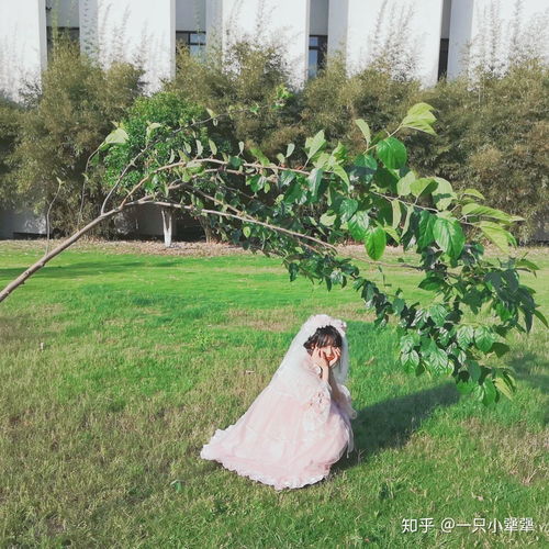 jk部位女生头像性侵