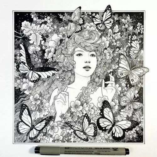 手绘黑白插画欣赏