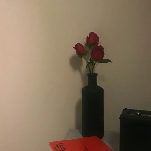 适合收藏起来的,格调很高的签名句子