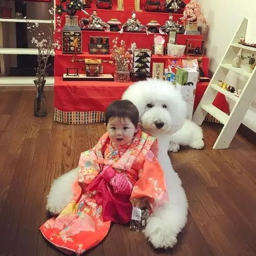 日本一年轻奶奶在ins上分享了两只狗狗和小孙女的日常,感动了1000000网友
