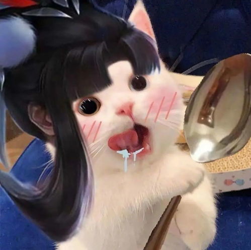 王者荣耀猫头第37期小乔猫咪女生头像,女孩子最喜欢干饭什么的啦