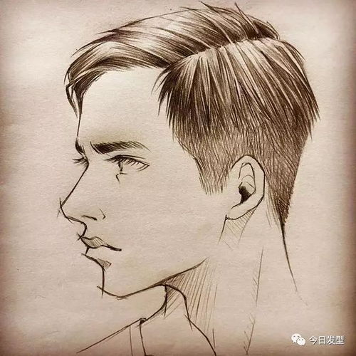 男女发型手绘