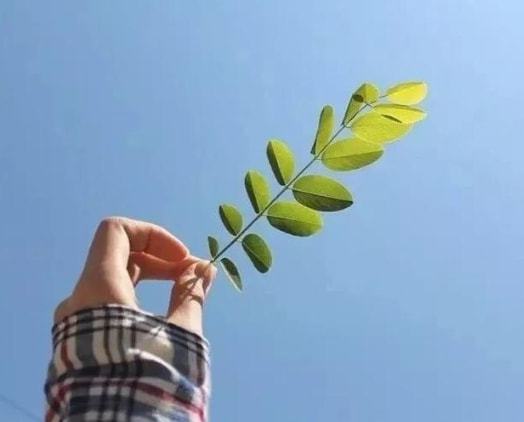 爱一个人,最好的样子