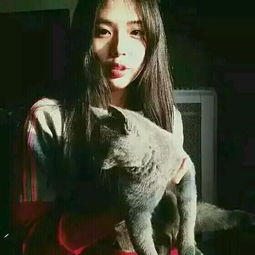 各种图来拿吧