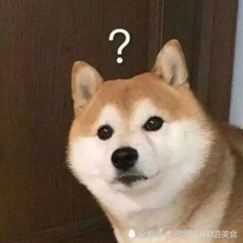 猫咪可爱还是狗狗可爱