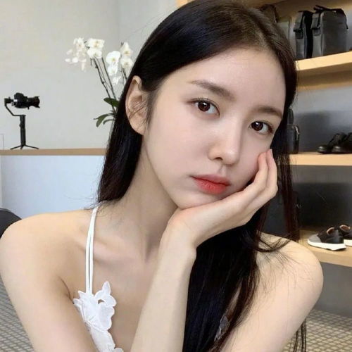 头像今日份美丽,请查收