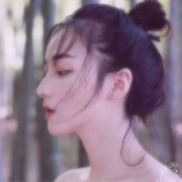 这种滤镜怎么调