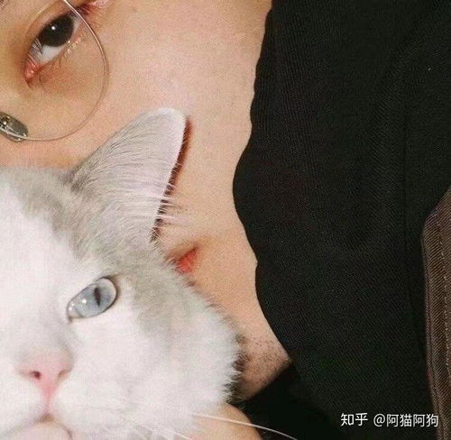 头像女和狗在一起的男人