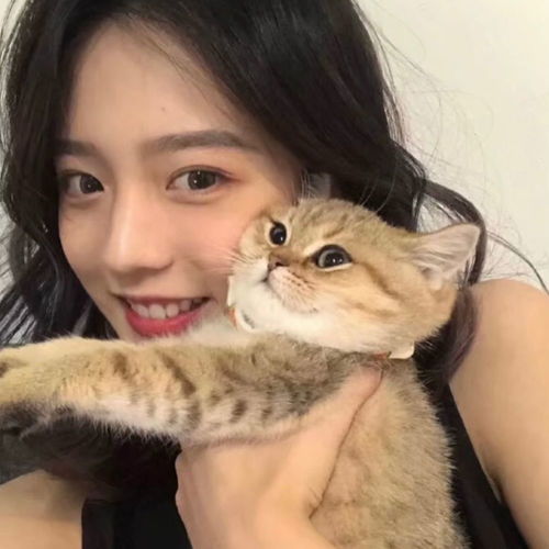 热搜女头l未来皆可期
