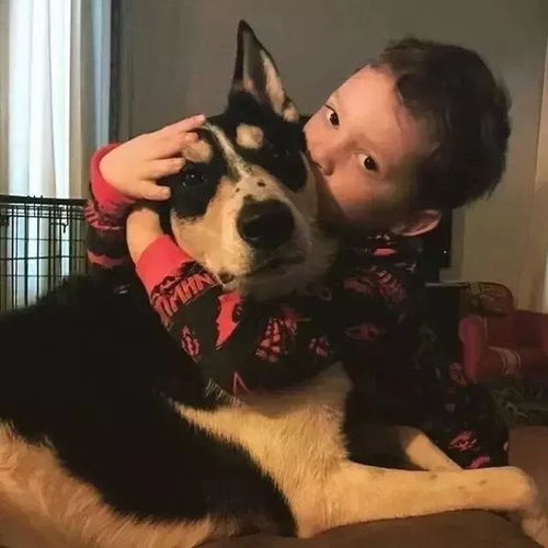 假笑男孩开微博可爱宝宝如何成为超级网红