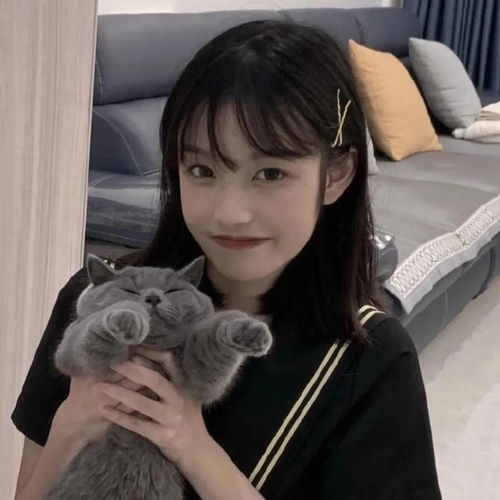 抱猫女头与你撞个满怀