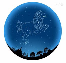 巨蟹狮子处女金牛双子五大星座下周运势