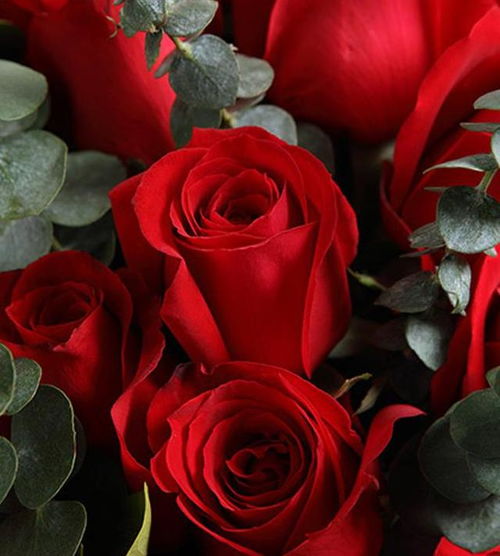 此4生肖无烦恼,近期百日内心想事成,事事顺意