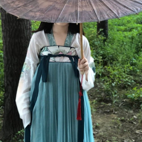 古风真人女生头像我知道京城的雪落不到江南