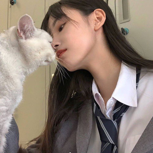 女生头像带动物的女头,欢迎来取