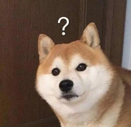 汪百科狗狗记吃不记打汪星人的记忆到底能维持多久