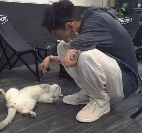 重生为死对头的猫耽美小说作者芝芝麻酱
