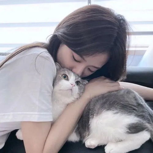 抱猫咪的女生头像或许你想拥有一只小猫咪吗