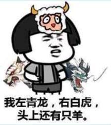 幽默笑话一哥们情人节没女友去花店转了,卖花女漂亮又有气质