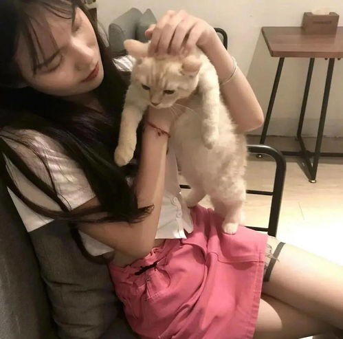 头像图片丨女生头像丨可爱的猫系女头1214