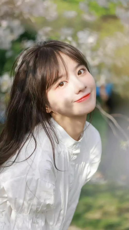 绝色壁纸推荐遇见纯美小姐姐