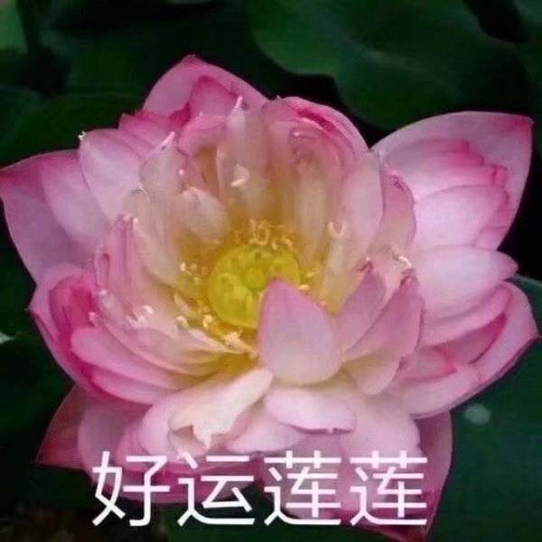 我知道你很累是那种看不见的身体上的精神上的人际关系上的面对未来的那种无力感的意思