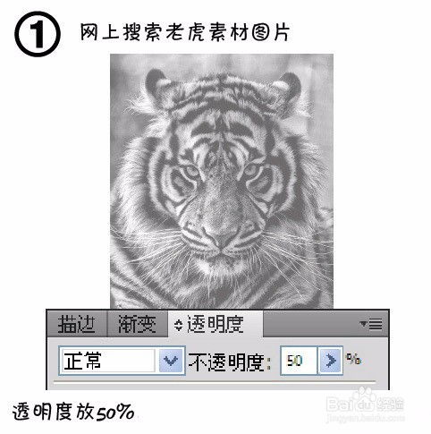 利用ai绘制老虎头像