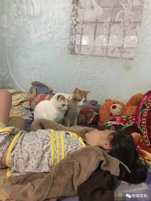 广州一男子被一片树叶砸晕,倒在地上不省人事,哈哈哈哈哈哈