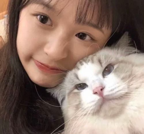 女生头像永远要坚持自己的内心所想