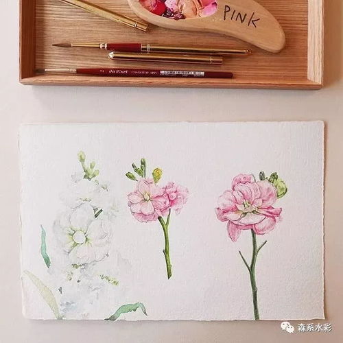 森林系女孩小清新水彩插画,带你走进自然的生活