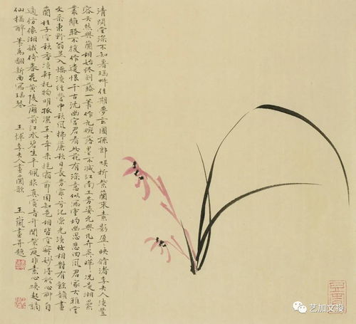 梅兰竹菊芳华竞秀柳正梅王岚姚媛潘东篱书画作品展开幕