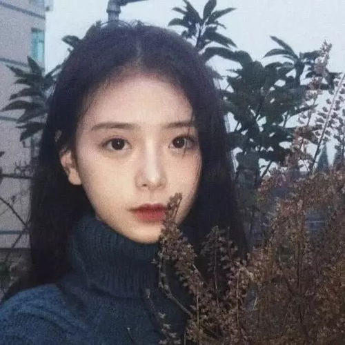 我听过最动人的故事,都在这网易云的评论里