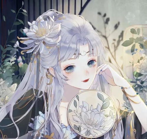 二次元美少女美丽无极限