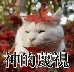 新闻哥吐槽云南小学教师猥亵4名女生,给10元现金防告发,禽兽啊