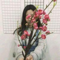 好人是不会用标题吸引人qq女生头像我要个性网