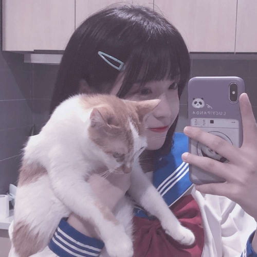 一些小仙女的美丽三连拍