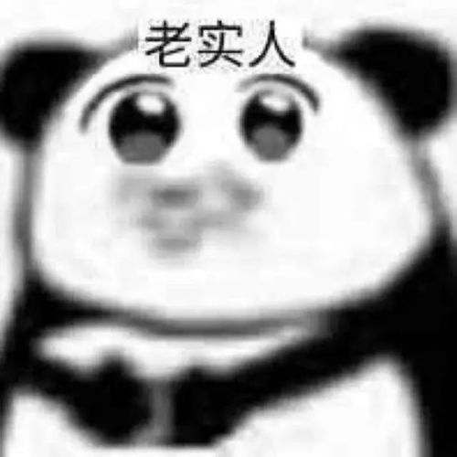 男子猛轰油门想甩掉警车,结果连吃三张罚单自称是老实人