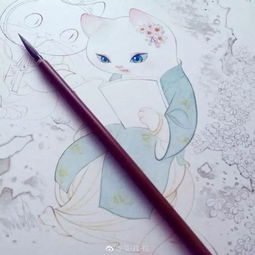 救命萌化十几万网友,原来被猫统治的世界是这样的